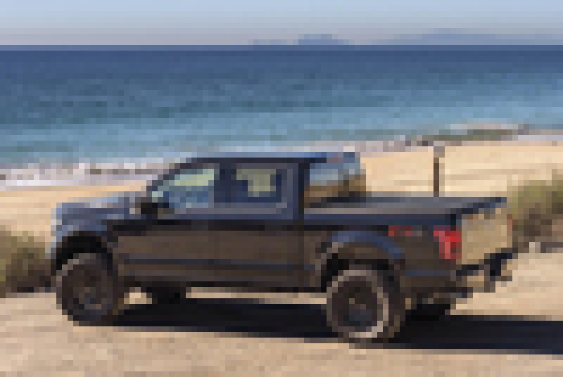 Load image into Gallery viewer, BAK 04-14 Ford F-150 5ft 6in Bed BAKFlip MX4 Matte Finish
