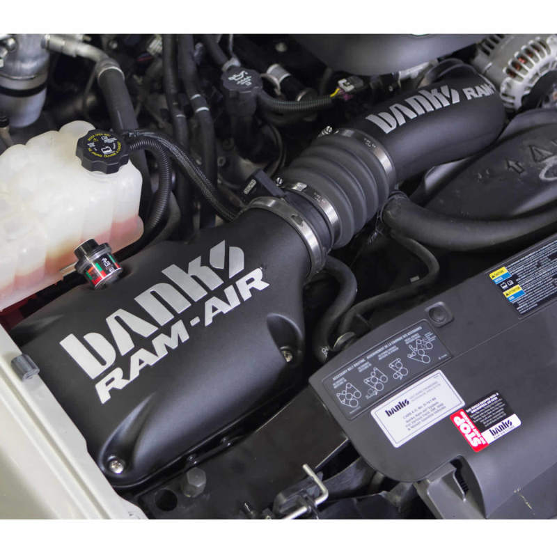 Load image into Gallery viewer, Banks Power 99-08 Chev/GMC 1500-W/Elec Fan Ram-Air Intake System - Dry Filter
