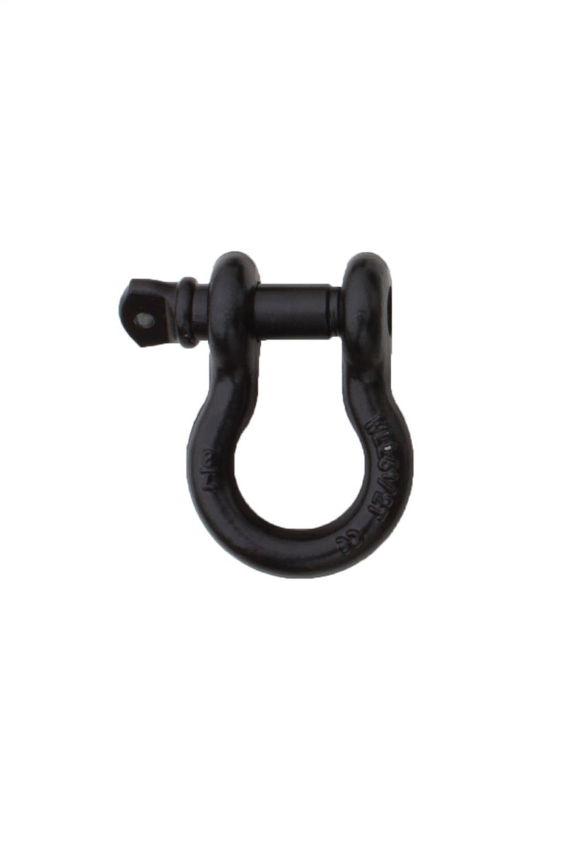 Load image into Gallery viewer, Rampage 1955-2019 Universal Recovery D Ring 3/4in Black - Black
