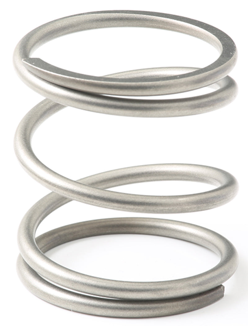 Load image into Gallery viewer, GFB EX38/44 10psi Wastegate Spring (Outer)
