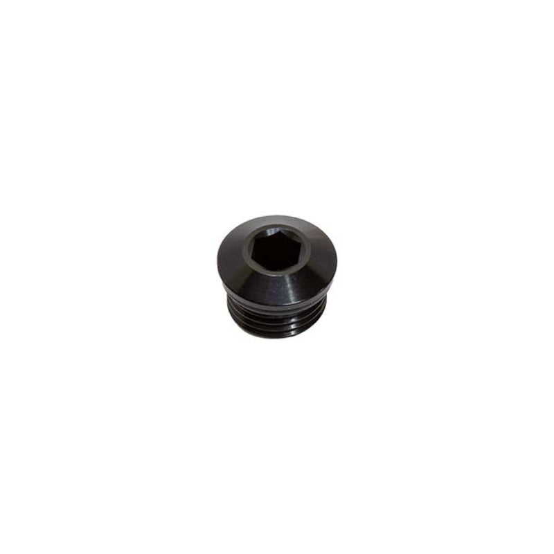Load image into Gallery viewer, Snow -6 ORB Plug
