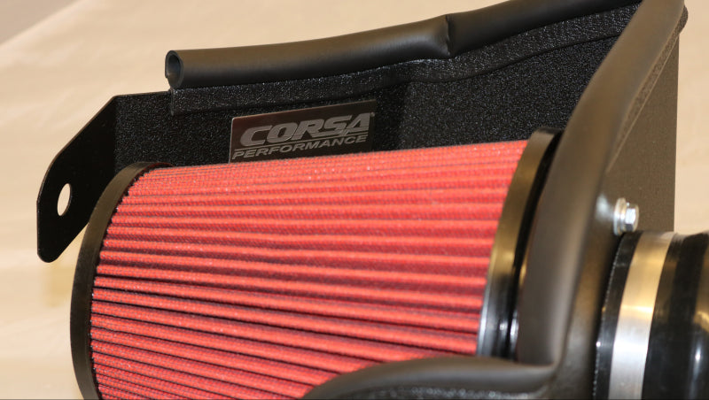 Load image into Gallery viewer, Corsa Apex 17-18 Ford F-150 3.5L EcoBoost DryTech 3D Metal Intake System
