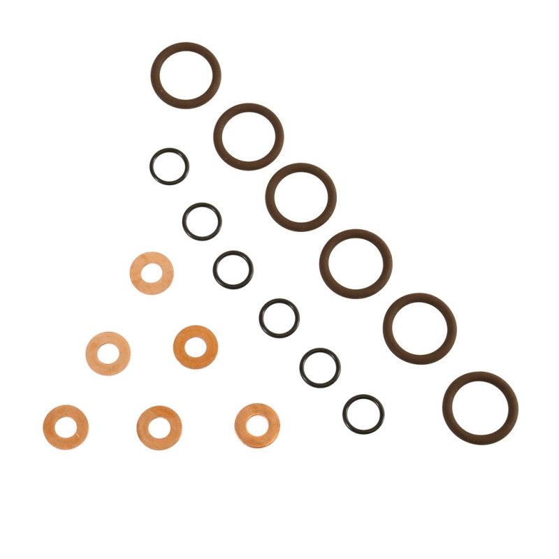 Load image into Gallery viewer, BD Diesel ISB Injector Seal Kit - Dodge 1998.5-2002 5.9L 24-valve
