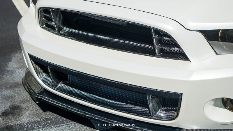 Load image into Gallery viewer, Anderson Composites 10-14 Ford Mustang/Shelby GT500 Front Lower Grille
