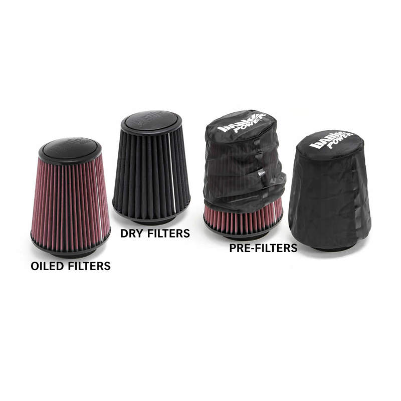 Load image into Gallery viewer, Banks Power 12-15 Jeep 3.6L Wrangler Ram-Air Intake System - Dry Filter
