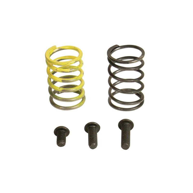 Load image into Gallery viewer, Industrial Injection 94-98 Dodge 12V AFC Spring Kit
