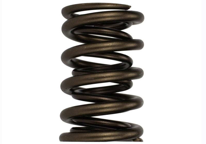 Load image into Gallery viewer, Ford Racing  Replacement Hydraulic Roller Valve Spring - Single (For M-6049-SCJA)
