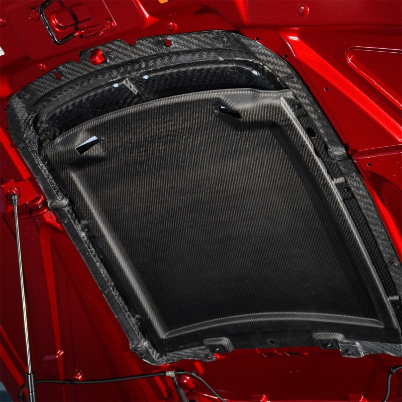 Load image into Gallery viewer, Ford Racing 20-22 Mustang GT500 Carbon Fiber Hood Vent Kit
