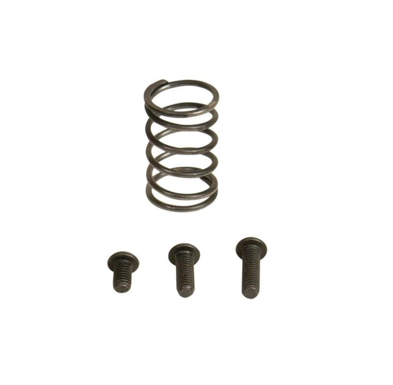 Load image into Gallery viewer, Industrial Injection 94-98 Dodge 12V AFC Spring Kit
